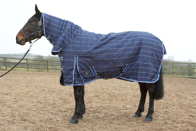 Sherwood Forest Ascot Combo Turnout Rug ( 300gsm )                                   